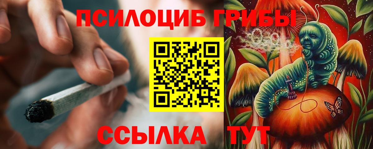 Иваново  Галлюциногенные грибы мицелий  Вход с VPN 